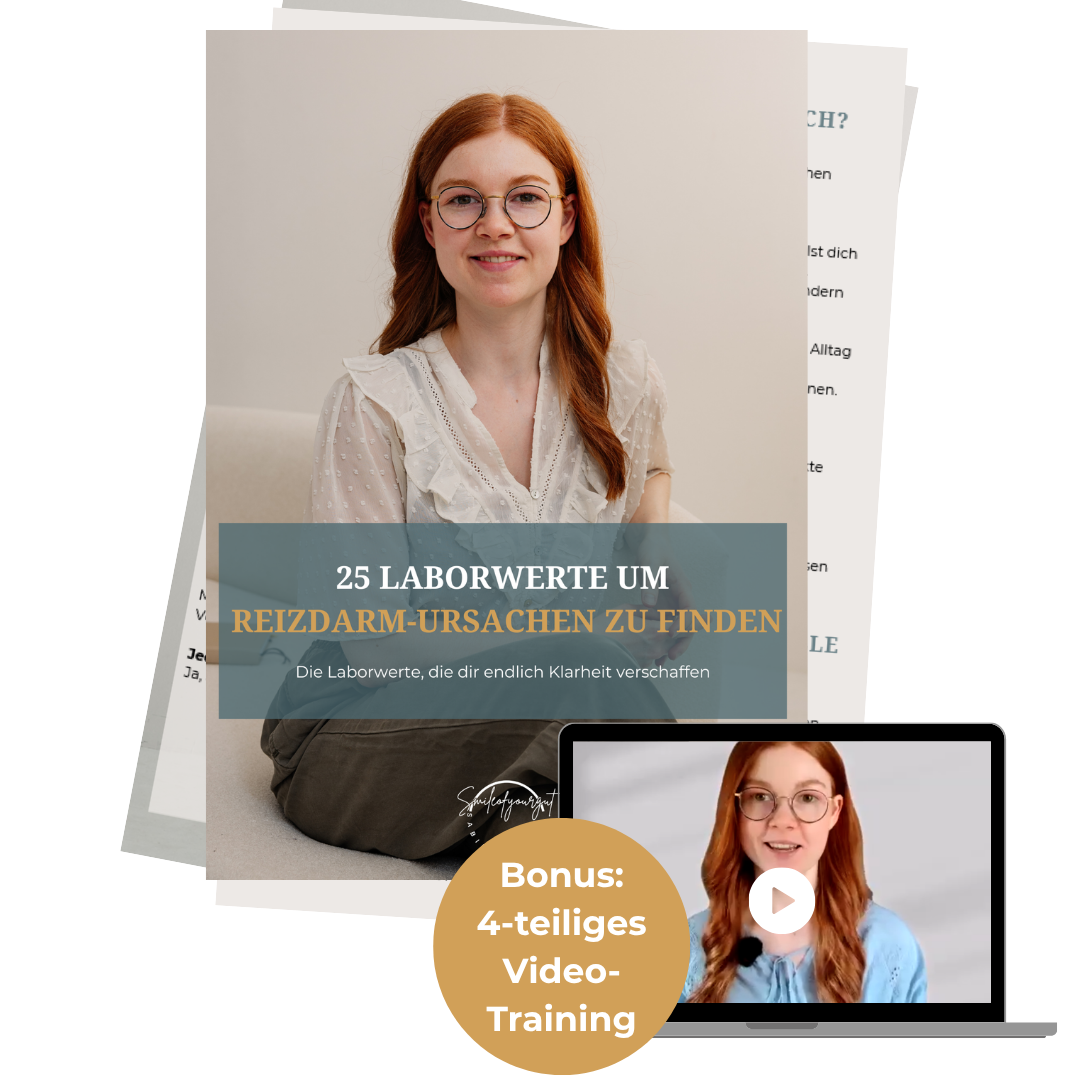 Laborwerte-Guide Mockup