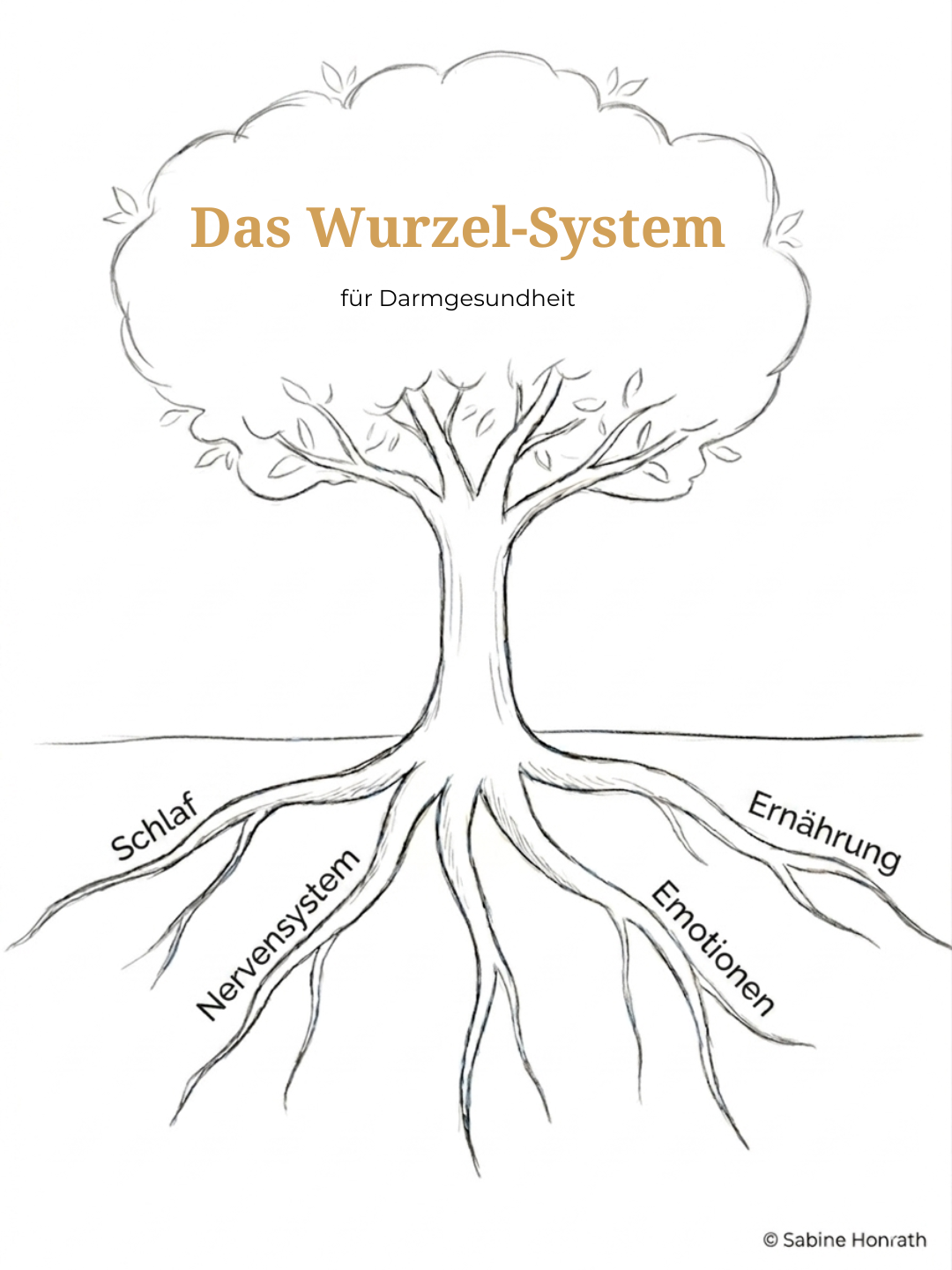 Das Wurzel-System